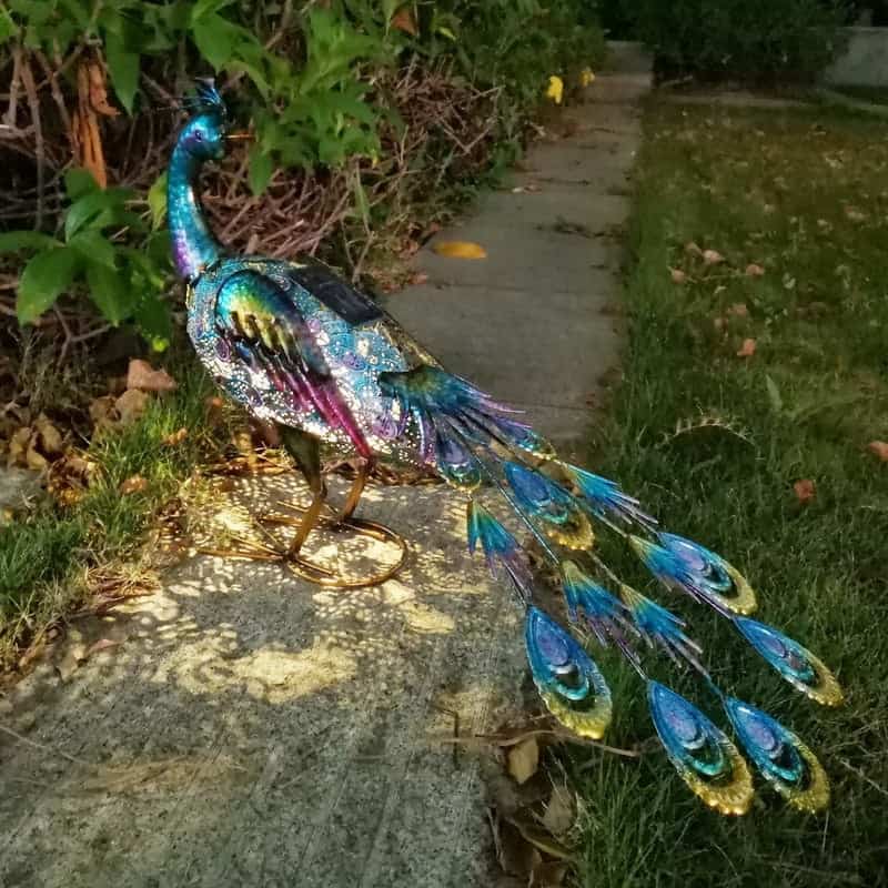 Peacock Solar Light