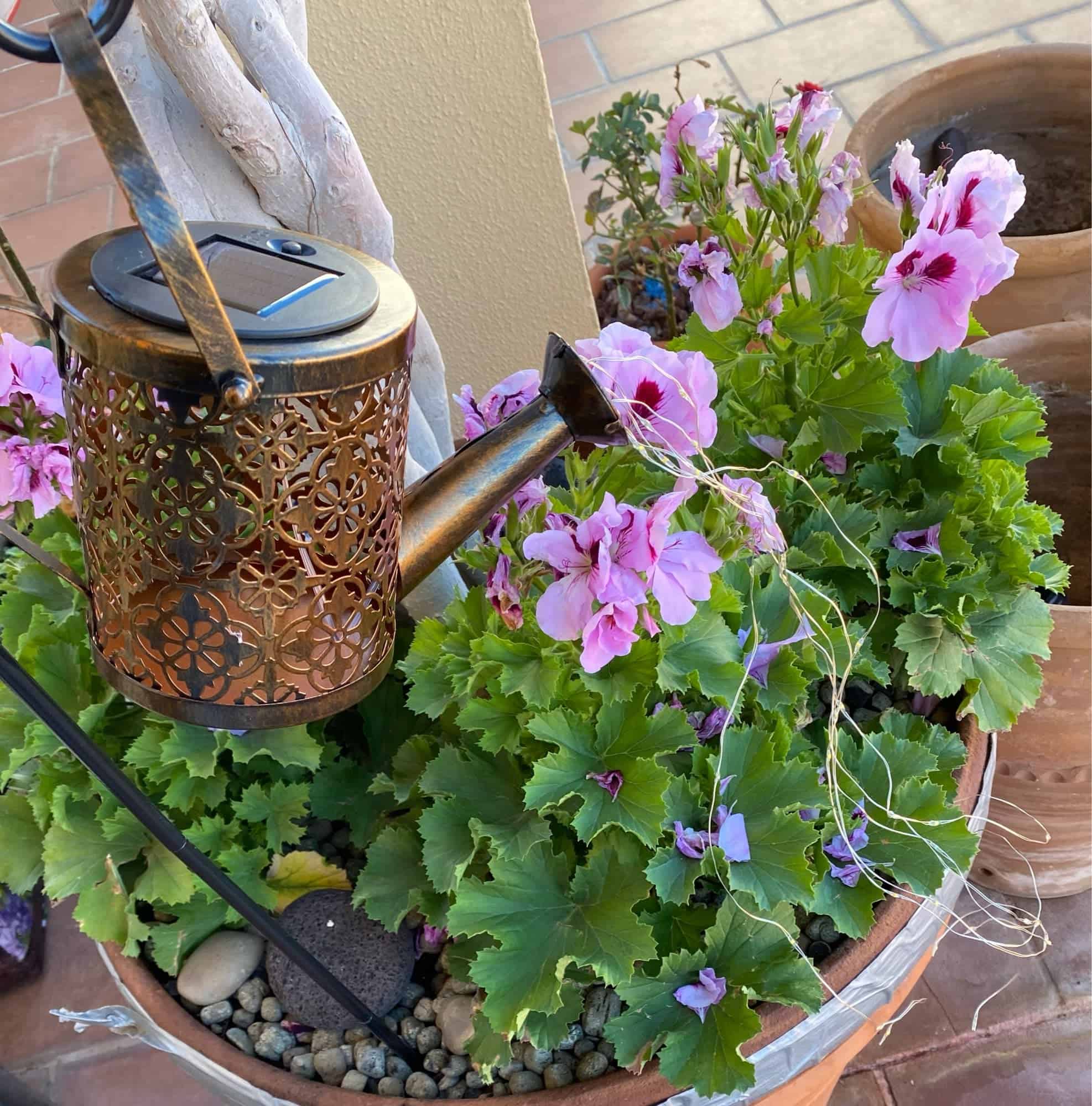 Solar Watering Can Medieval Metal Style